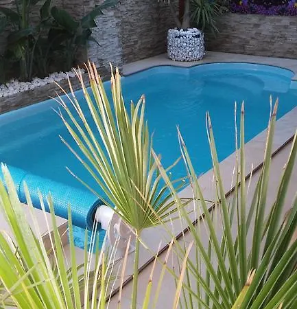 Exotic Kryty Basen * ウェバ